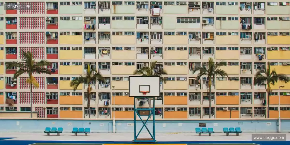 全球赛事一键触达!⚽